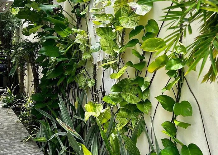 Beautiful With Garden In *